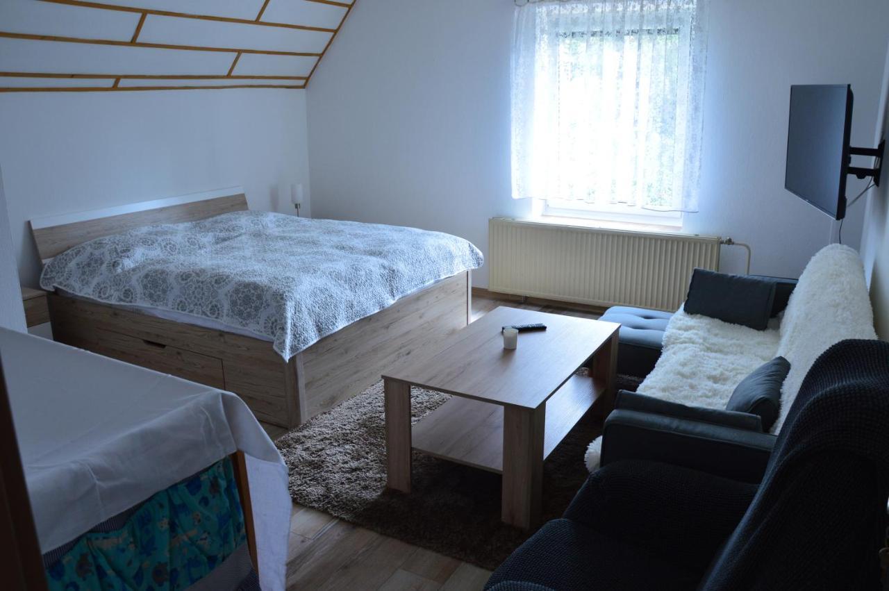 Horsky Apartman Pod Zelenou Strechou Bartosovice v Orlickych Horach Екстериор снимка