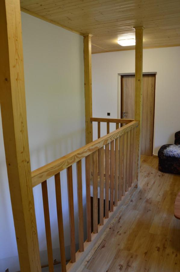 Horsky Apartman Pod Zelenou Strechou Bartosovice v Orlickych Horach Екстериор снимка