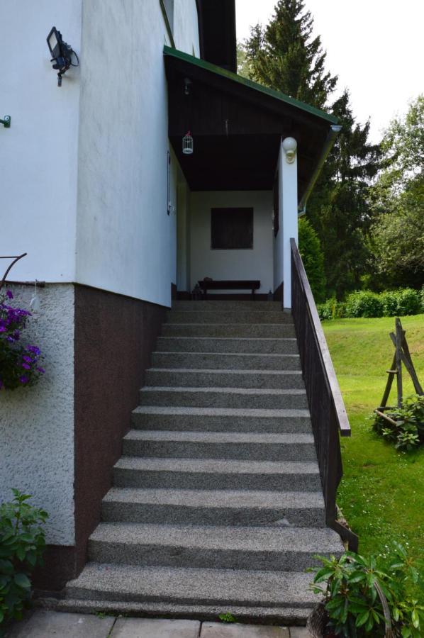 Horsky Apartman Pod Zelenou Strechou Bartosovice v Orlickych Horach Екстериор снимка