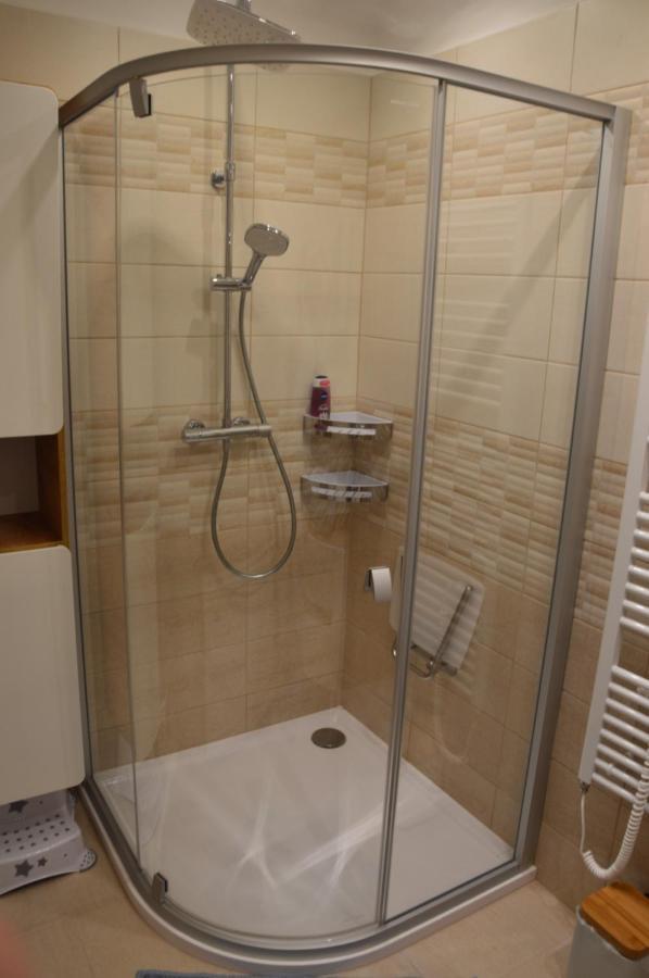 Horsky Apartman Pod Zelenou Strechou Bartosovice v Orlickych Horach Екстериор снимка
