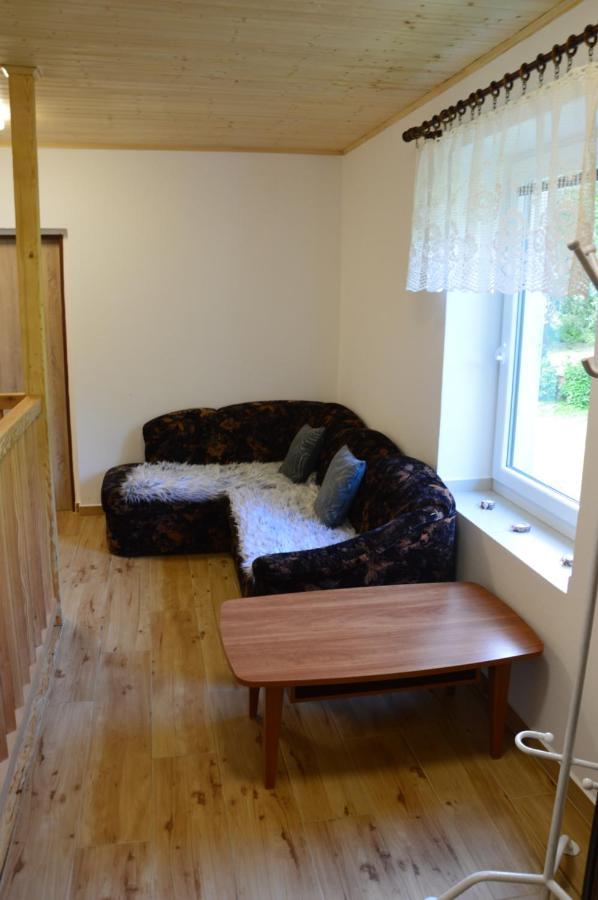 Horsky Apartman Pod Zelenou Strechou Bartosovice v Orlickych Horach Екстериор снимка